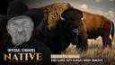 Black Kettle Buffalo with Dick Gehring