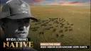 Visiting Dakota Pure Bison